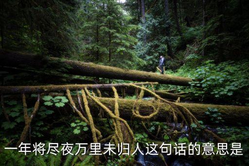 萬(wàn)里未歸人，一年將盡夜萬(wàn)里未歸人這句話的意思是