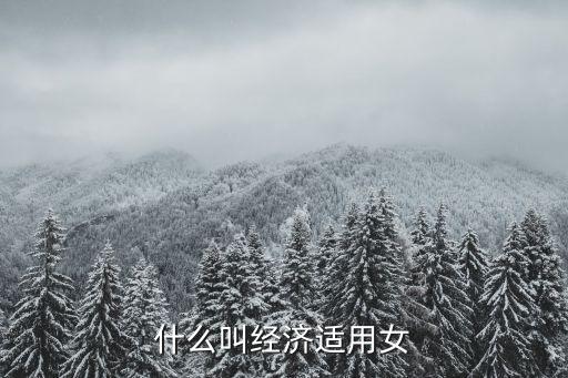 經濟適用女，什么是經濟適應女