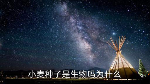 小麥種子是生物嗎為什么