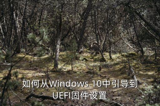 uefi固件設置，如何從Windows 10中引導到UEFI固件設置