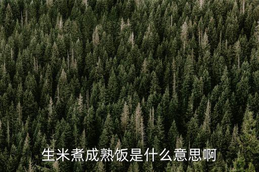 生米煮成熟飯是什么意思，生米煮成熟飯什么意思