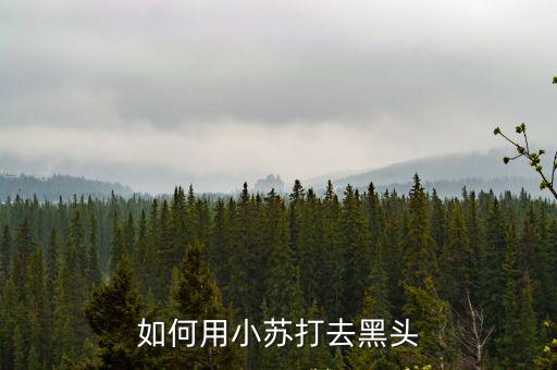 小蘇打怎么用，如何用小蘇打去黑頭