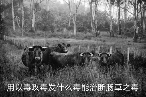 斷腸草的克星，克斷腸草的是什么草