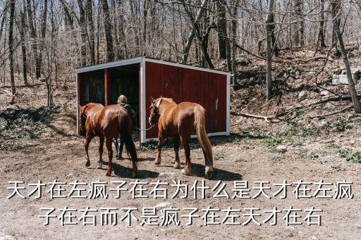 天才在左，天才在左瘋子在又真的猛嗎