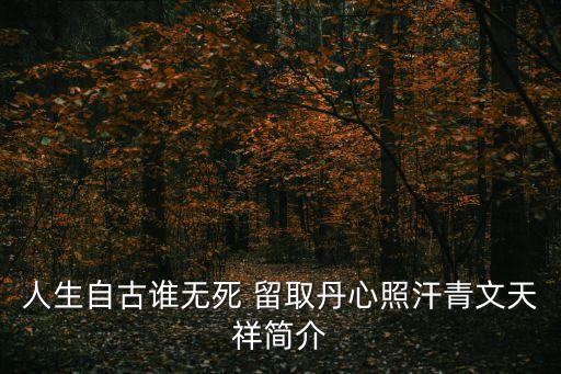 人生自古誰(shuí)無(wú)死 留取丹心照汗青文天祥簡(jiǎn)介