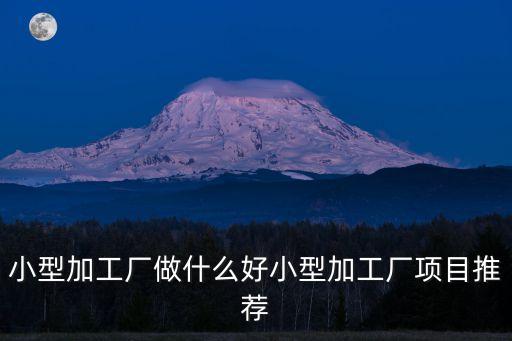 開小型加工廠項目，我想辦一個小加工企業能在縣城自銷的項目請問什么項目