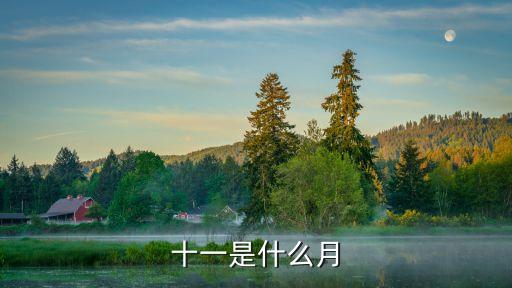 十一月份，十一月份屬于什么季節
