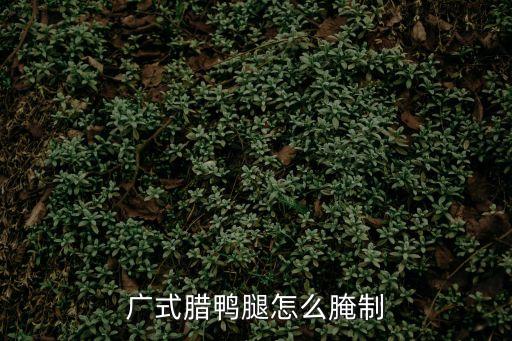 廣式臘鴨腿怎么腌制