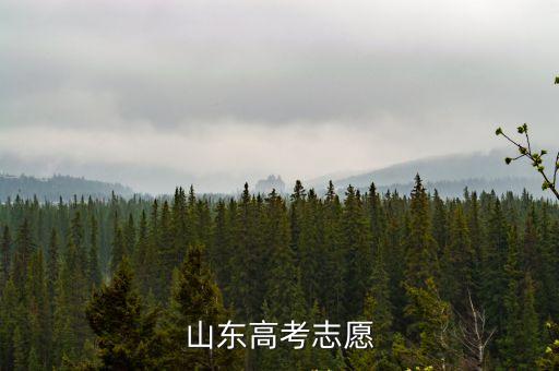 山東高考志愿