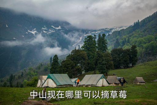 中山現在哪里可以摘草莓