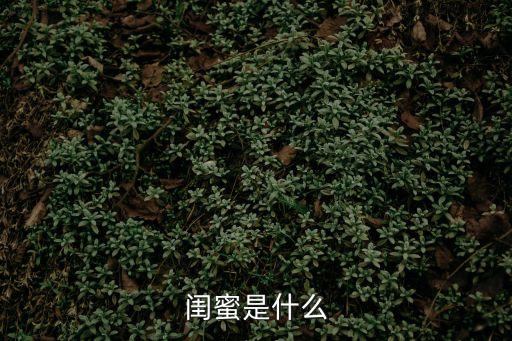 閨蜜是什么