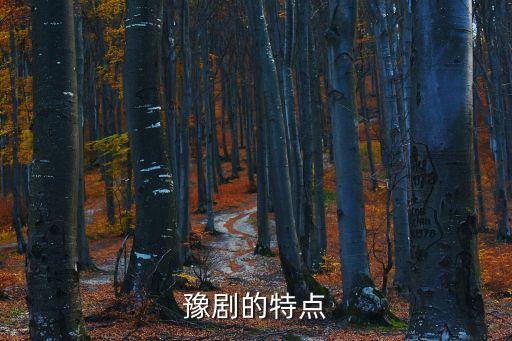 豫劇的特點