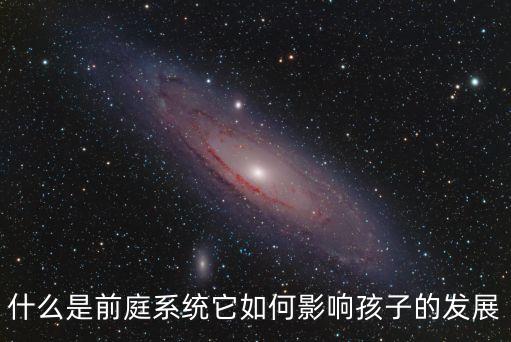 什么是前庭系統它如何影響孩子的發展