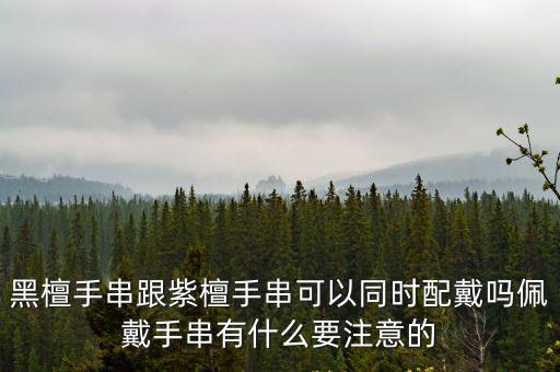 黑檀手串跟紫檀手串可以同時配戴嗎佩戴手串有什么要注意的