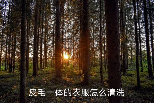 皮毛一體怎么洗，皮毛一體的衣服如何清洗