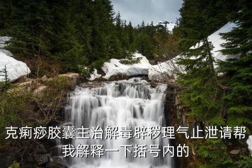 克痢痧膠囊，克痢痧膠囊主治解毒辟穢理氣止泄請幫我解釋一下括號內的