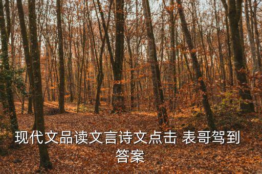表哥駕到，駕到 表哥駕到 是什么含義