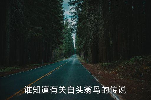 白頭翁鳥，什么是白頭翁
