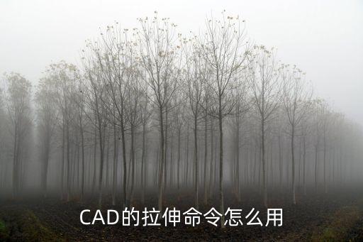 CAD的拉伸命令怎么用