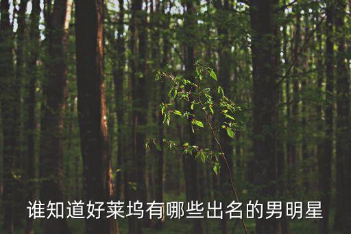 美國男影星，誰知道好萊塢有哪些出名的男明星