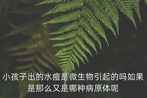 小孩子出的水痘是微生物引起的嗎如果是那么又是哪種病原體呢