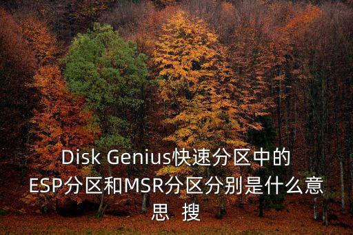 Disk Genius快速分區(qū)中的ESP分區(qū)和MSR分區(qū)分別是什么意思  搜