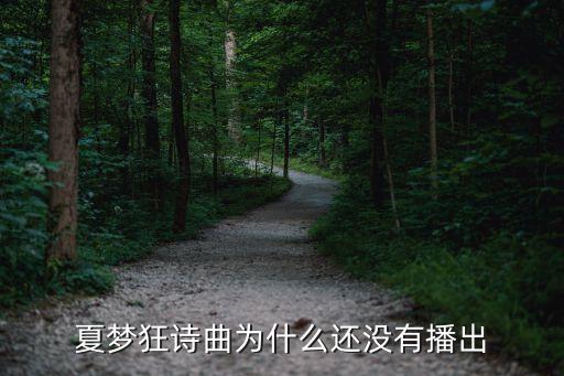 夏夢狂詩曲為什么還沒有播出