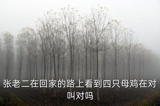 張老二在回家的路上看到四只母雞在對叫對嗎