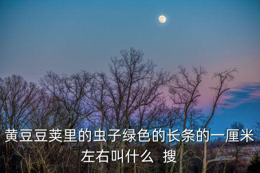 黃豆豆莢里的蟲子綠色的長條的一厘米左右叫什么  搜
