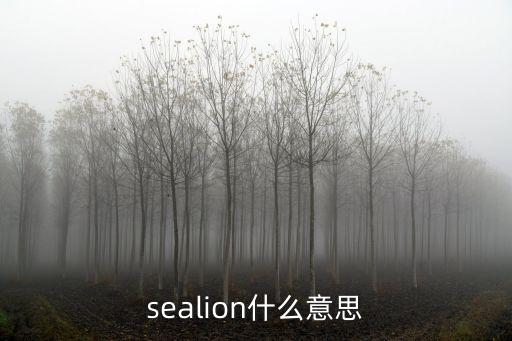 sealion什么意思