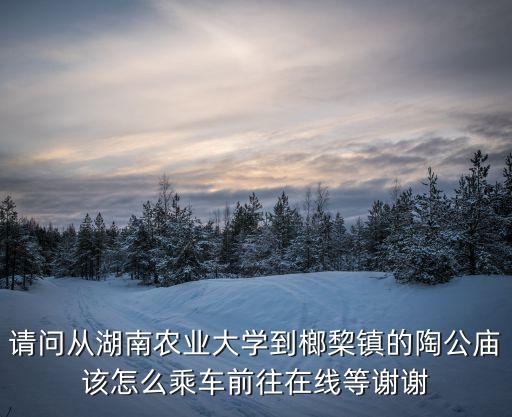 請問從湖南農業大學到榔棃鎮的陶公廟該怎么乘車前往在線等謝謝