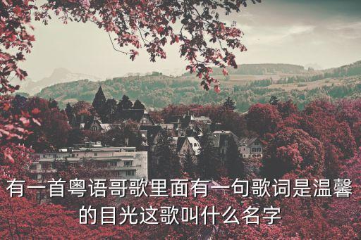 有一首粵語哥歌里面有一句歌詞是溫馨的目光這歌叫什么名字