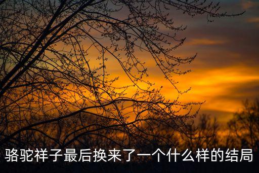 駱駝祥子最后換來了一個什么樣的結局