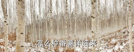 紅薯怎么種，怎樣種地瓜在家種
