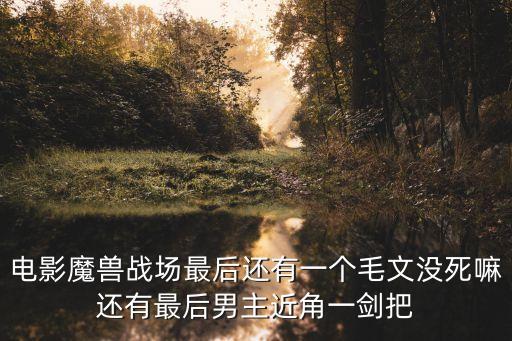電影魔獸戰(zhàn)場(chǎng)最后還有一個(gè)毛文沒(méi)死嘛還有最后男主近角一劍把