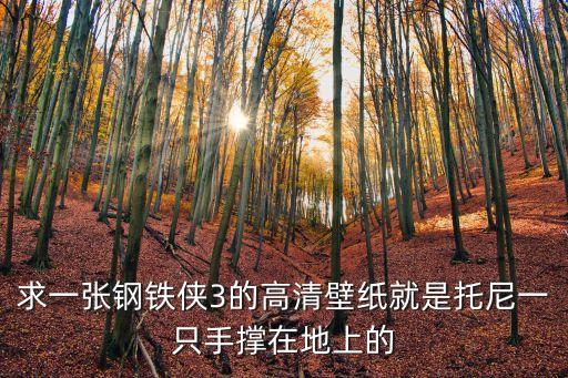 求一張鋼鐵俠3的高清壁紙就是托尼一只手撐在地上的