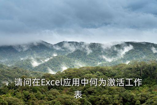 請問在Excel應用中何為激活工作表