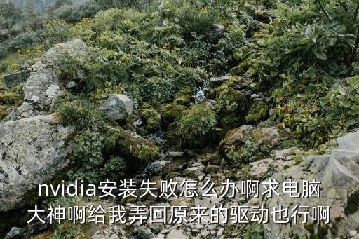nvidia安裝失敗怎么辦啊求電腦大神啊給我弄回原來的驅動也行啊