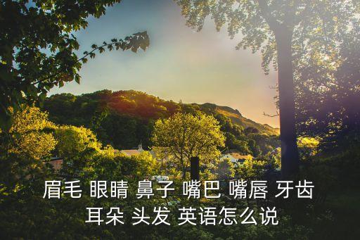 眉毛 眼睛 鼻子 嘴巴 嘴唇 牙齒 耳朵 頭發 英語怎么說