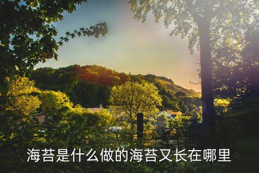 海苔是什么做的海苔又長在哪里