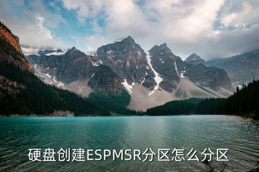 esp分區和msr分區，分區時用新建msr和esp分區么