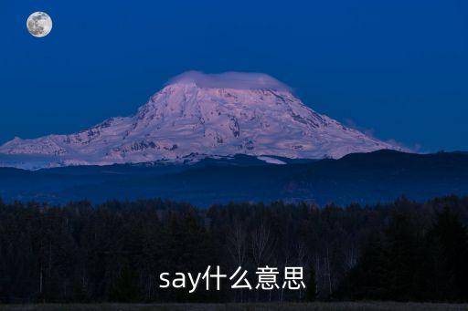 say什么意思
