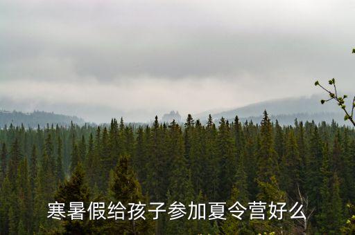 寒暑假給孩子參加夏令營(yíng)好么