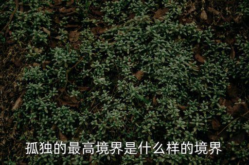 孤獨(dú)的最高境界是什么樣的境界