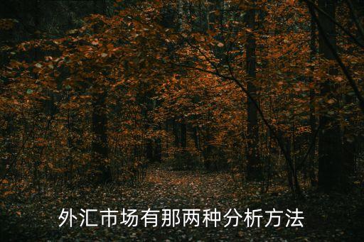 外匯分析，有哪些外匯分析軟件好用