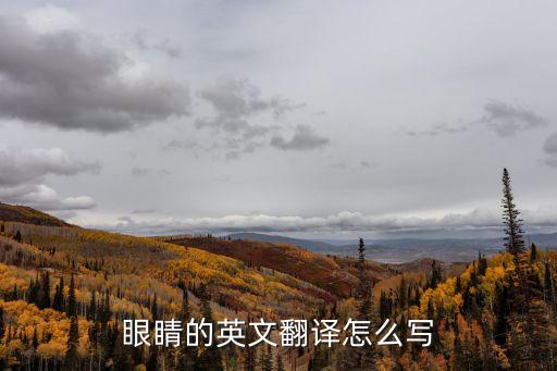 眼睛英語怎么寫，眼睛的英文怎么寫