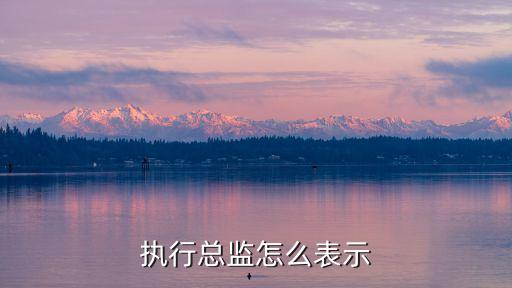 執(zhí)行總監(jiān)，執(zhí)行總監(jiān)是什么意思