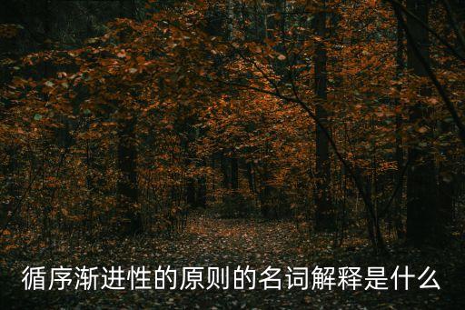 循序漸進性的原則的名詞解釋是什么