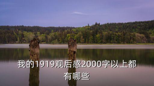我的1919觀后感2000字以上都有哪些