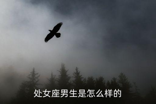 處女座男生，處女座男生是怎么樣的
